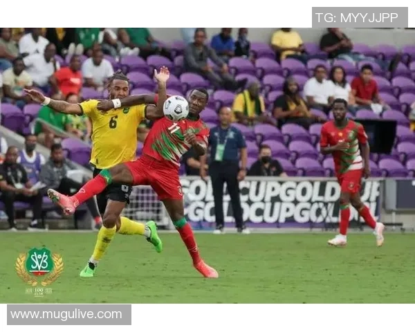 哥斯达黎加与洪都拉斯激战正酣足球盛宴引发球迷热情四溢